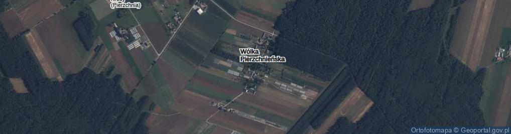 Zdjęcie satelitarne Wólka Pierzchnieńska ul.
